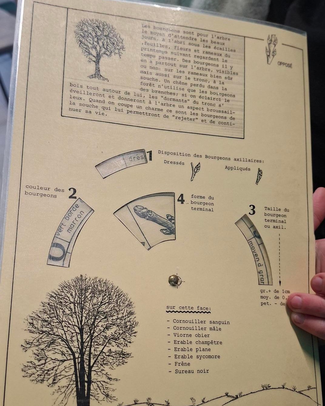 612304767_1533702632097980_4695815770962356763_n