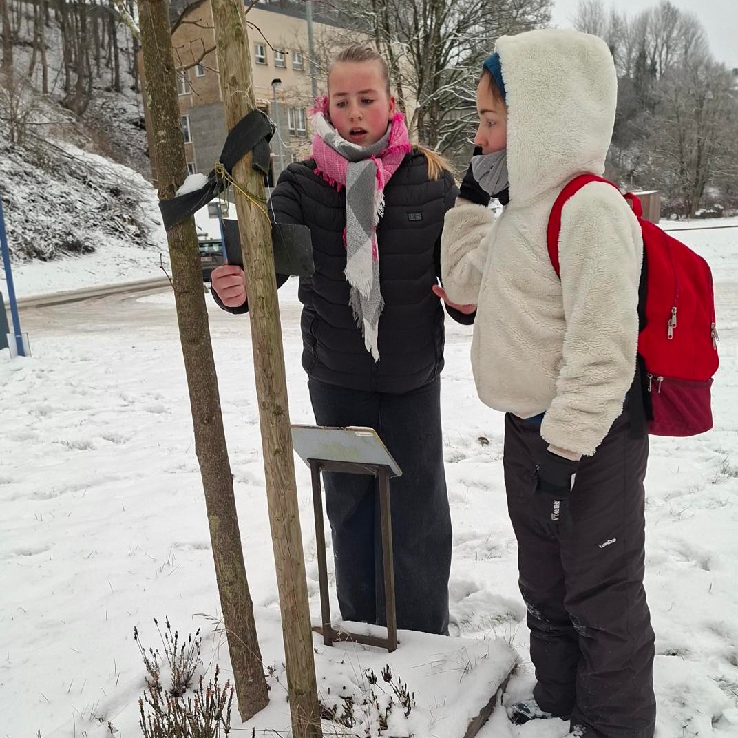 612465752_1533702122098031_8910879024841832559_n