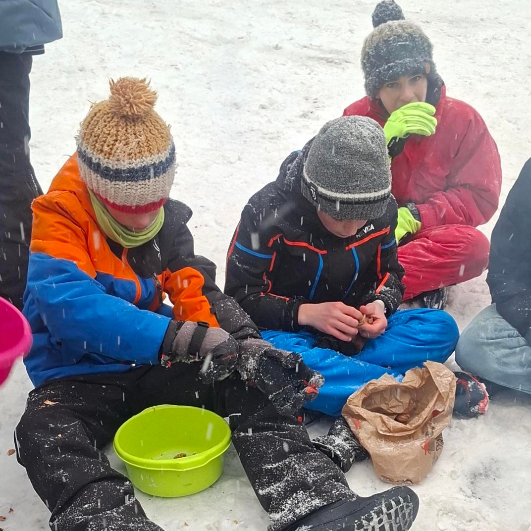 612644146_1533703518764558_3723771398224349143_n