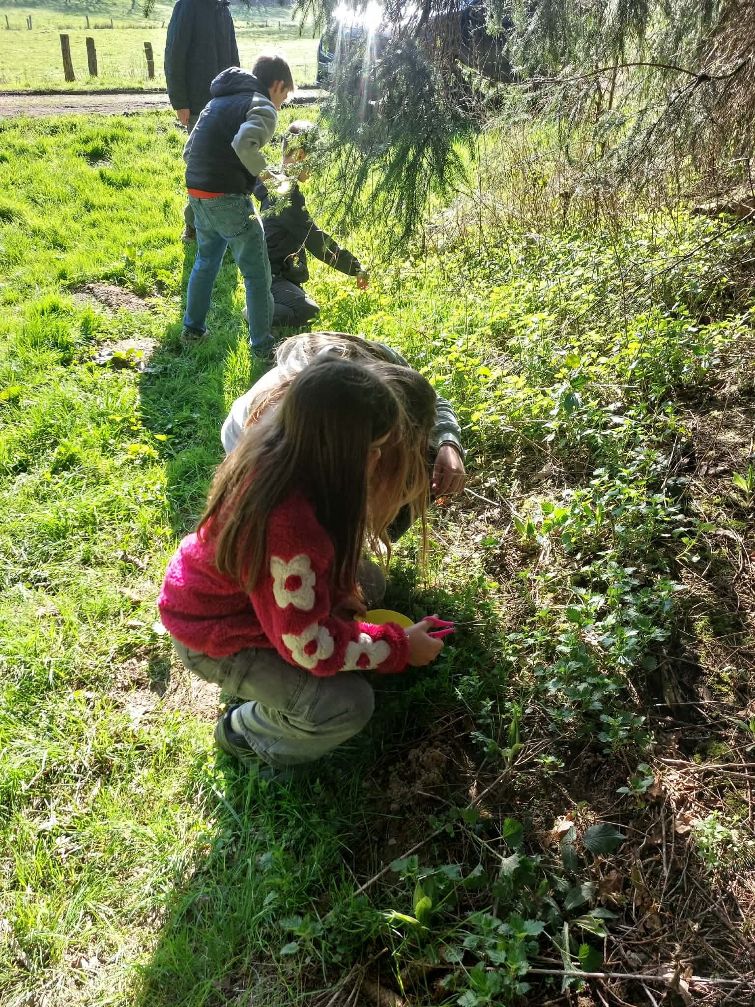 673821977_1628513155950260_5187365012510307358_n