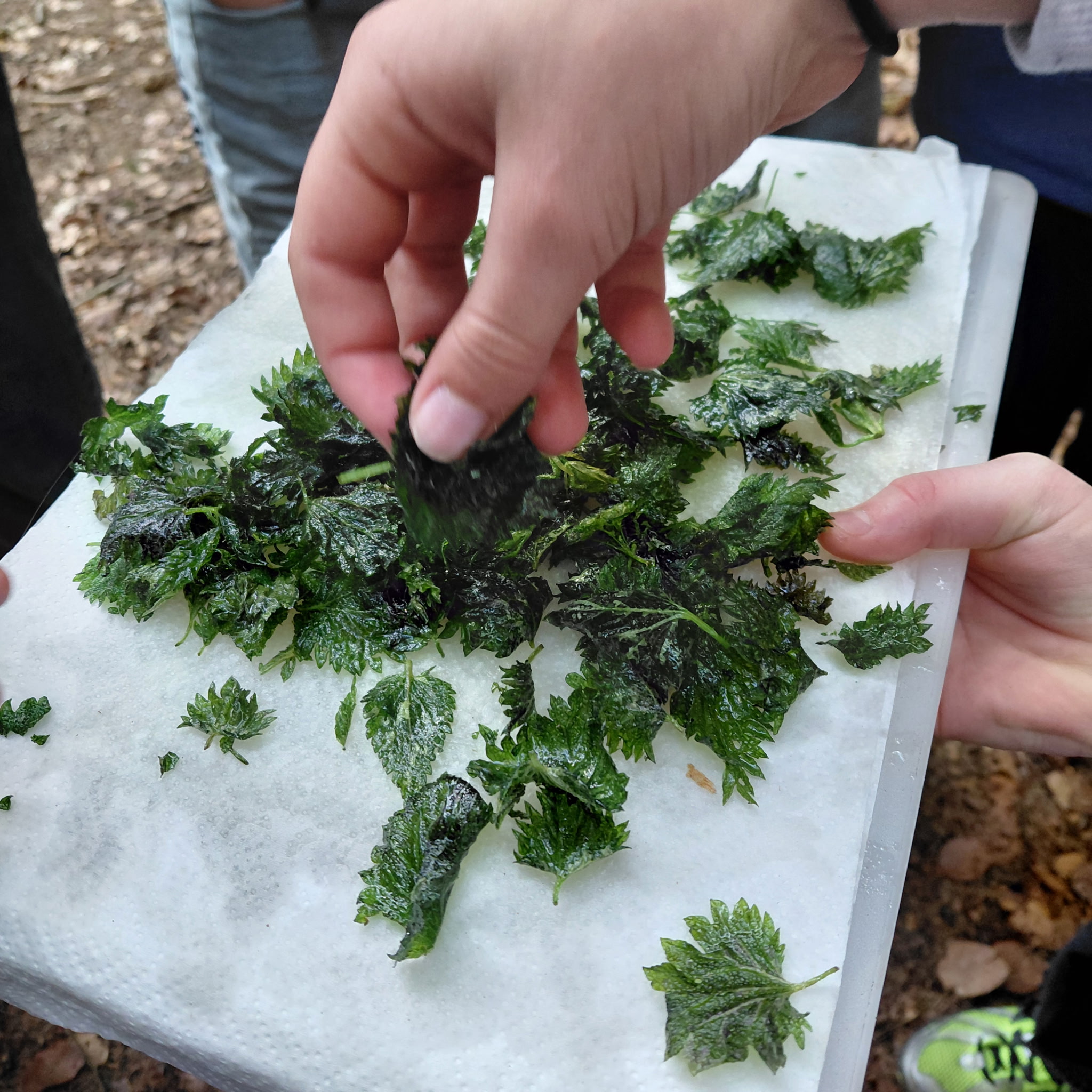 675251035_1628513035950272_1317935551213454658_n