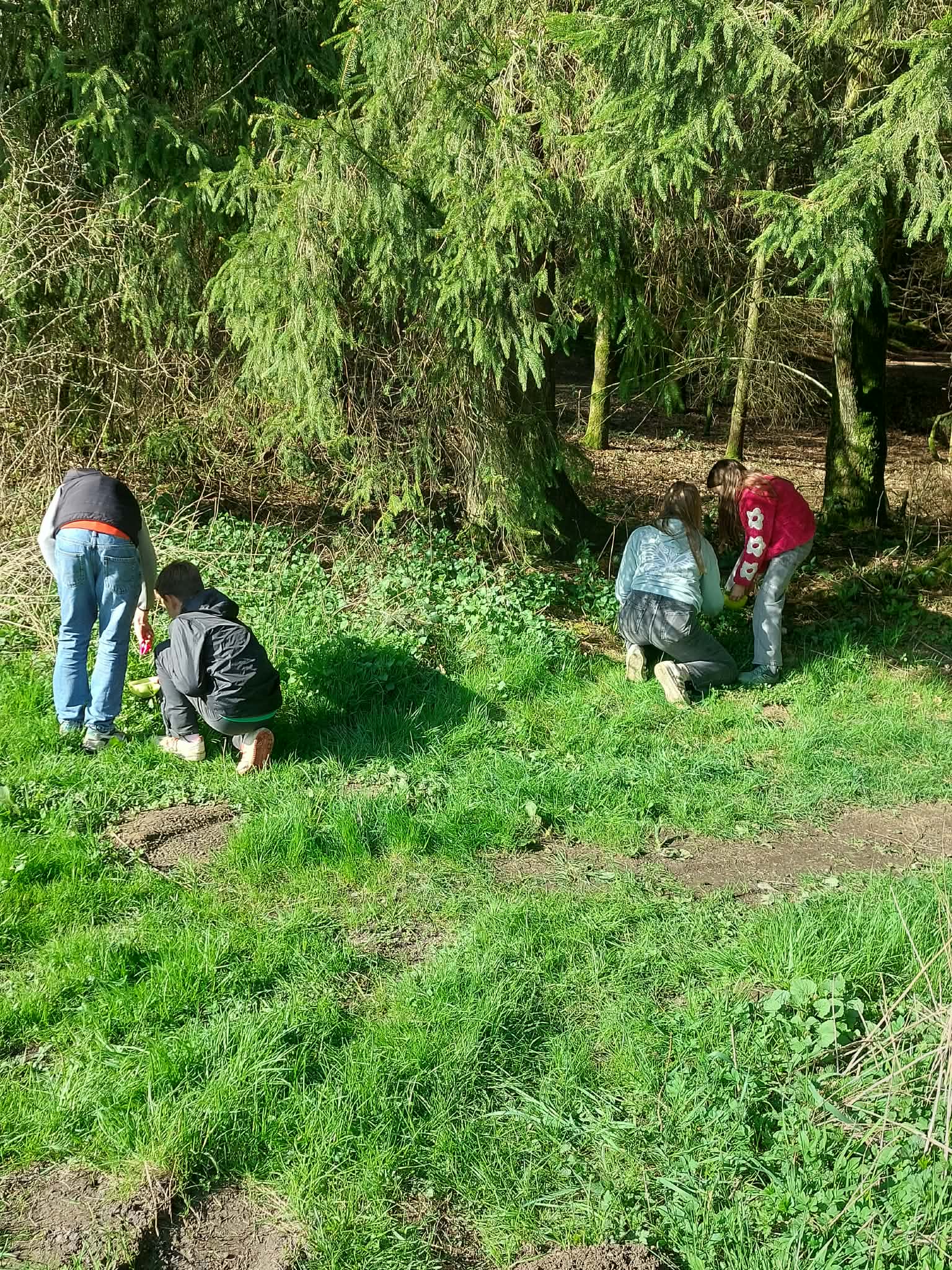 677152822_1628513039283605_6707716738704351470_n