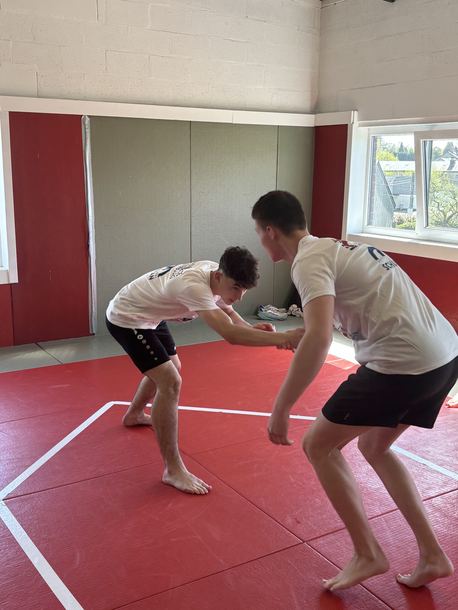 image-20260417-102748-cb963342