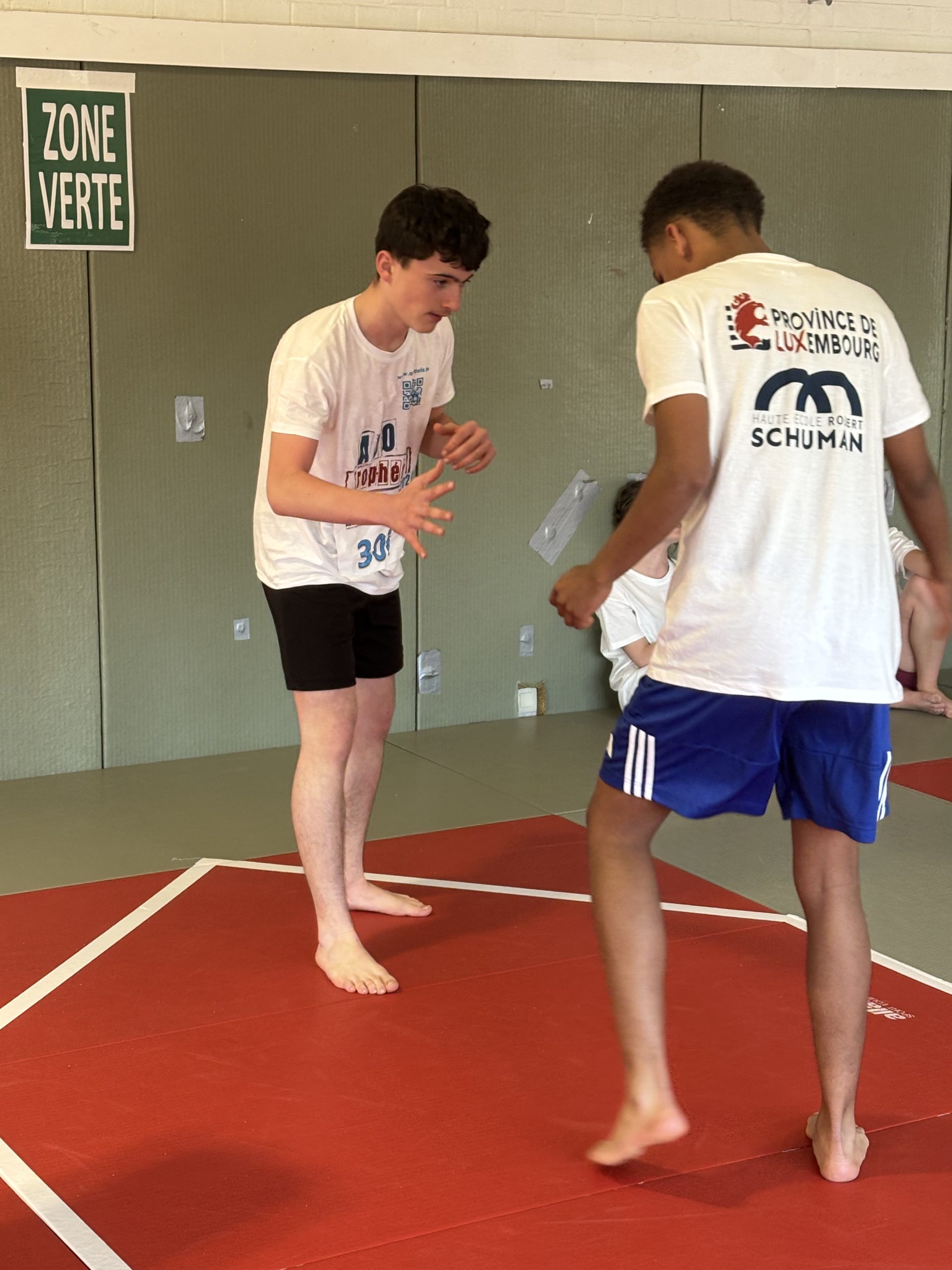 image-20260417-102809-907e89d8